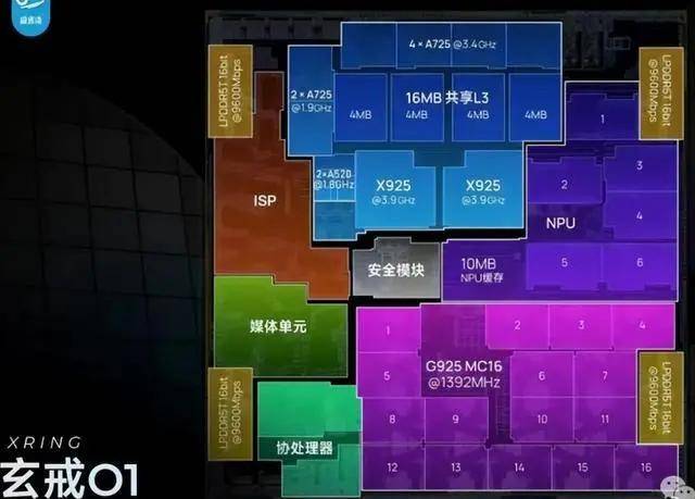 wetrade众汇开户众汇财产相互保险社官网，究竟是保险选择的明智之选还是隐藏的风险？